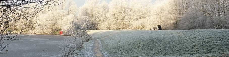winter running 1.jpg